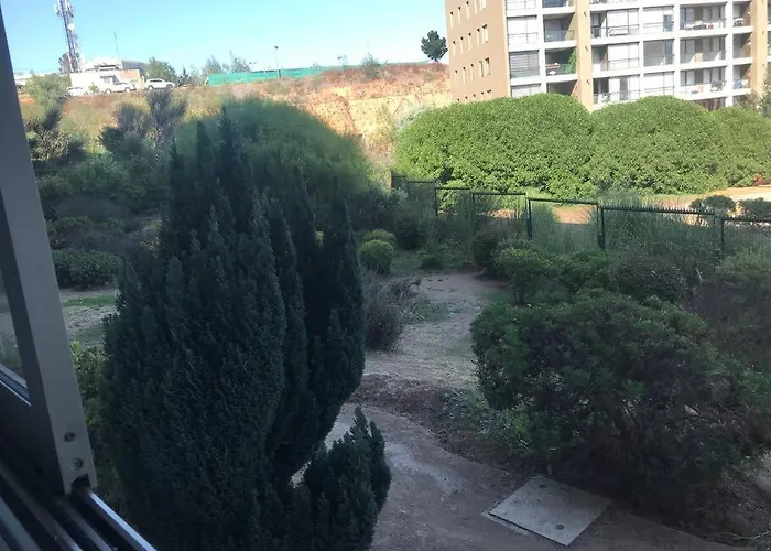 Hermoso Depto En Vina Del Mar